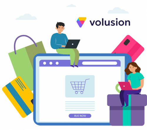 12_23-volusion-design-and-development-service